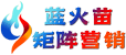 外贸网站建设-外贸网站推广-谷歌SEO优化公司-蓝火苗